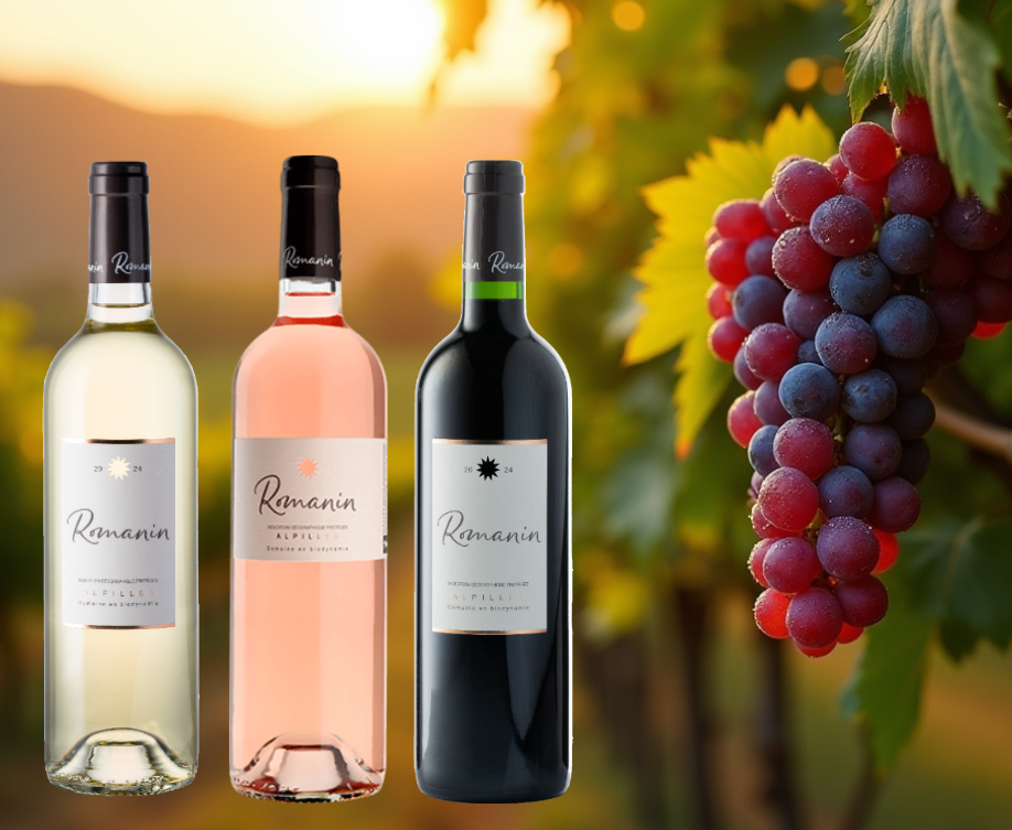 Biowein Aktionspaket Château Romanin Alpilles, 6 Flaschen, € 69,00, statt . . .