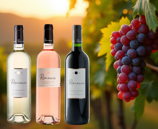 Biowein Aktionspaket Château Romanin Alpilles, 6 Flaschen, € 69,00, statt . . .