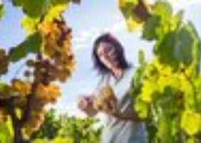 Can Descregut, Fumissola, Cava Corpinnat Brut Nature, Bio, 2019, ab 23,50 €