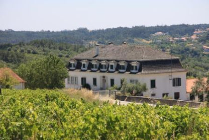Quinta do Montalto, Filas, Biowein weiß, Bag in Box, 3 l, € 15,25