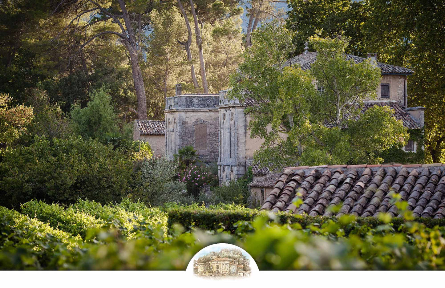 Malerisches Château La Canorgue Weingut Provence - Bio-zertifiziert seit 1978 - Weihnachts-Weinpakete versandkostenfrei - Letzte Chance Flash Sale