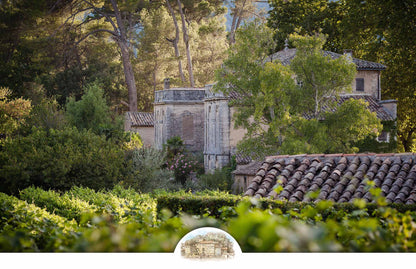 Malerisches Château La Canorgue Weingut Provence - Bio-zertifiziert seit 1978 - Weihnachts-Weinpakete versandkostenfrei - Letzte Chance Flash Sale