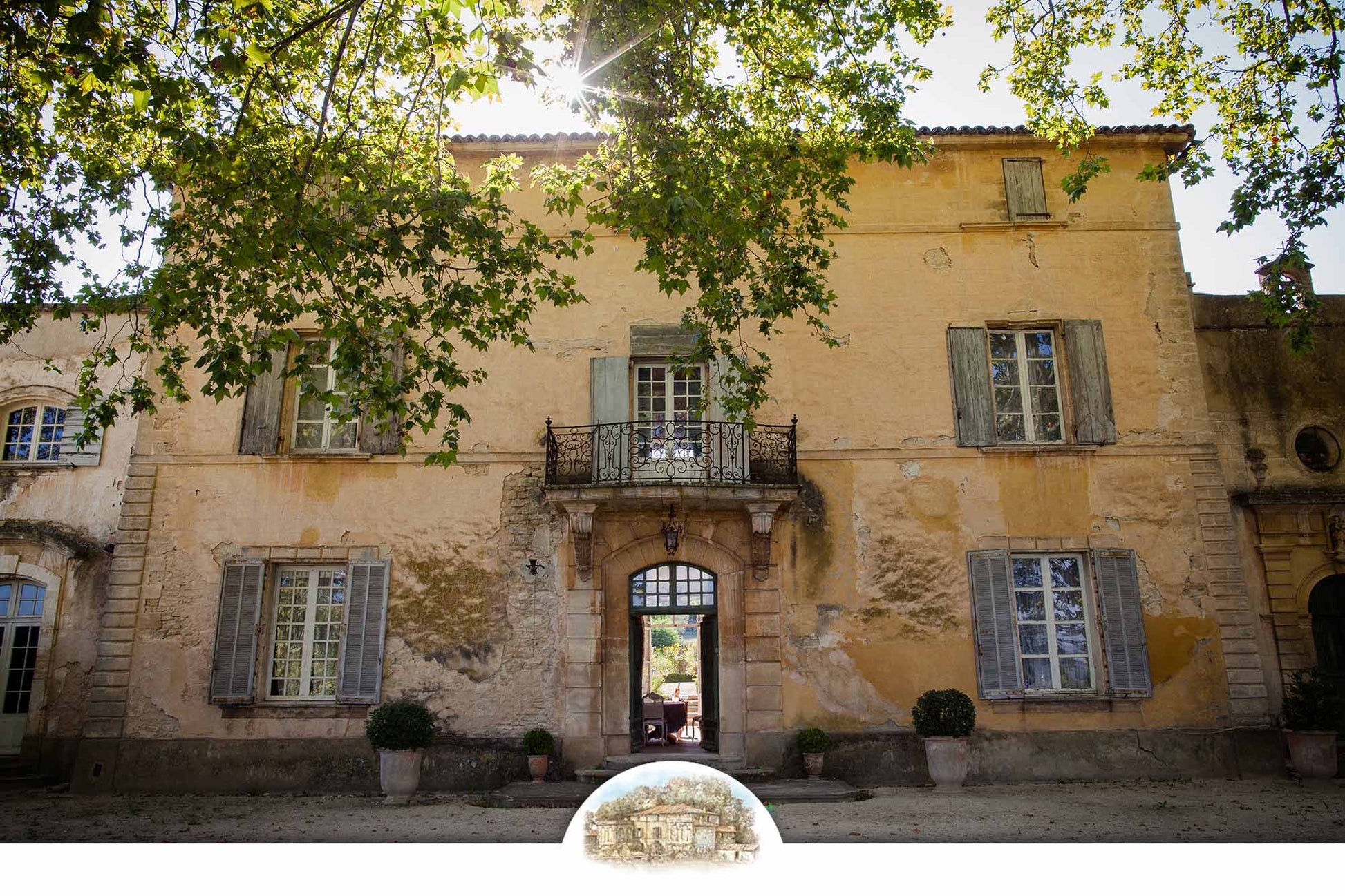 Der Wein aus Ridley Scotts Film "Ein bestes Jahr" Handverlesene Traubenernte Château La Canorgue - Neuer Jahrgang 2024 zu Weihnachten - Limitierte Erstauflage - Flash Sale Vorbesteller-Rabatt