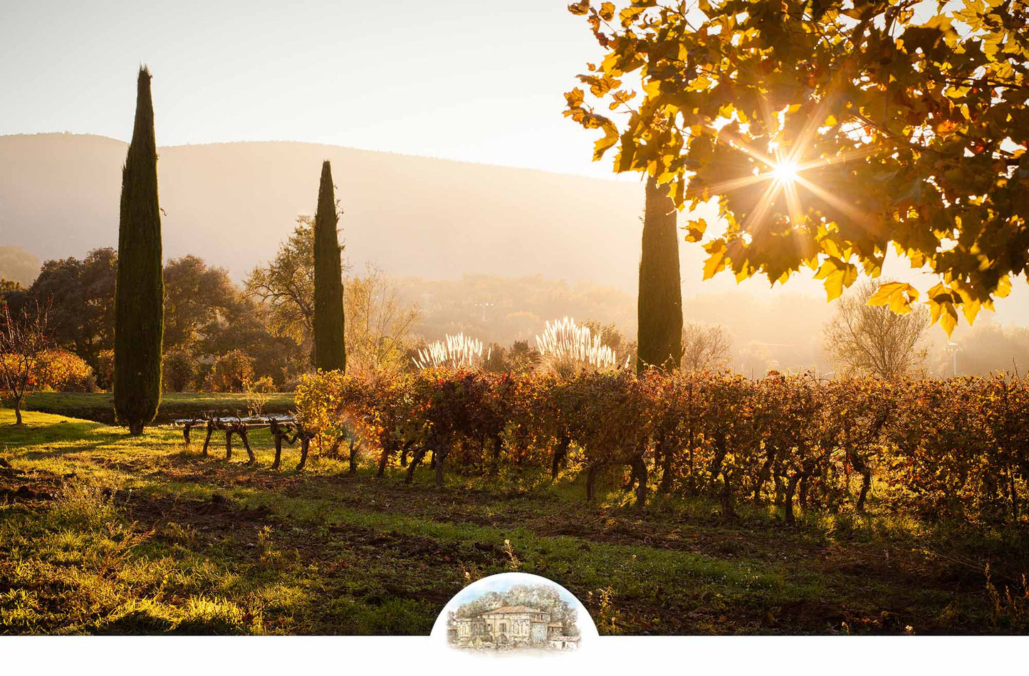 Luberon Weinregion Provence - Château La Canorgue AOC Weine - Premium Geschenkset Weihnachten - Flash Sale exklusiv online