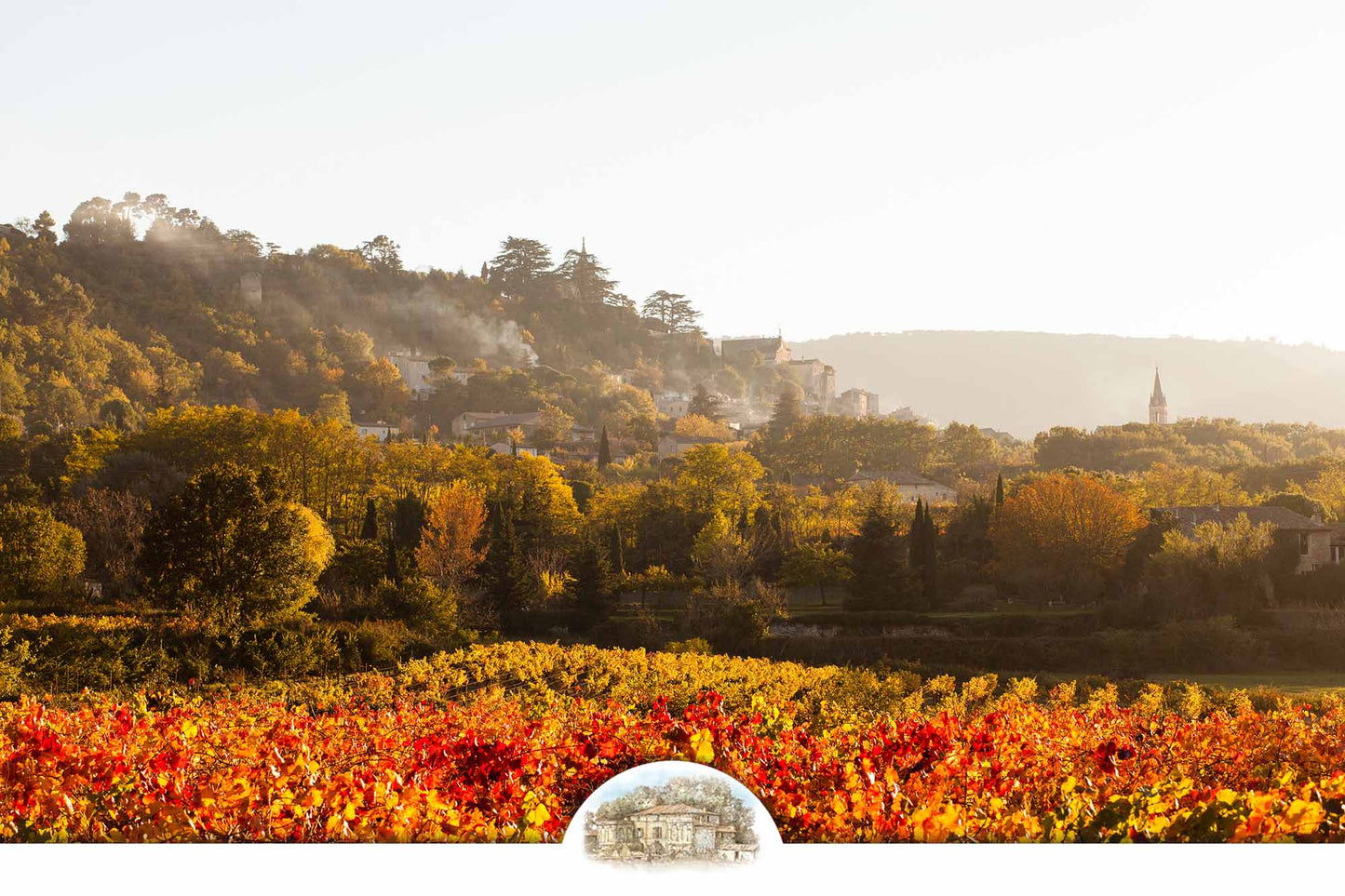 Provence Landschaft Luberon - Château La Canorgue Terroir - Authentische französische Weine als Weihnachtsgeschenk - Flash Sale bis 24. Dezember